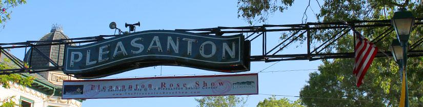Pleasanton Web Design