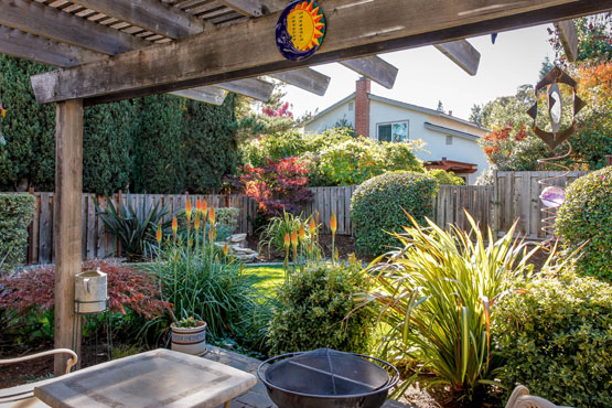 backyard-2.jpg