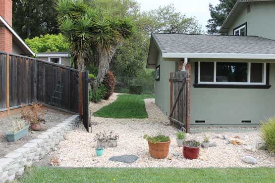 side-yard.jpg